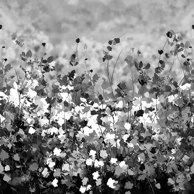 Dámská půlkolová sukně - Černobílá kvítka vyrobeno v ČR Dámská půlkolová sukně - Černobílá kvítka vyrobeno v ČR