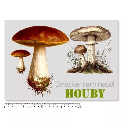 Levné nažehlovací obrázky - pro houbaře 
